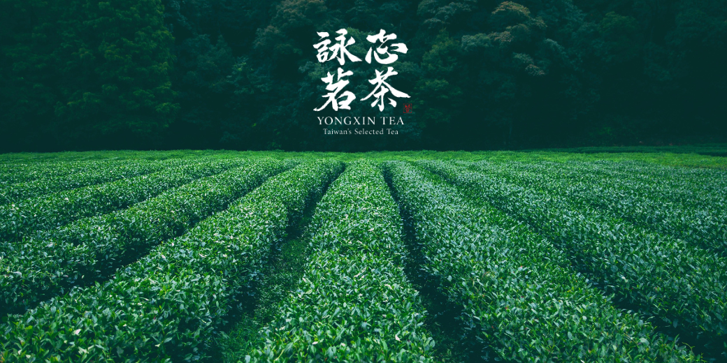 在台灣寶島－古都台南講述著關於和牛的故事