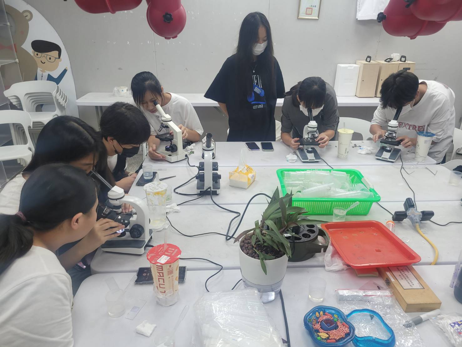 全方位科學實驗教育